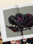 Цветы для букета. Справочник срезанных цветов для начинающего флориста. Что и когда покупать и как продлить цветам жизнь