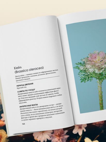 Цветы для букета. Справочник срезанных цветов для начинающего флориста. Что и когда покупать и как продлить цветам жизнь