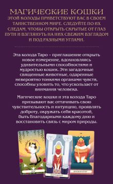 Обложка сзади Таро магических кошек (78 карт и руководство к колоде) Бетти Греко