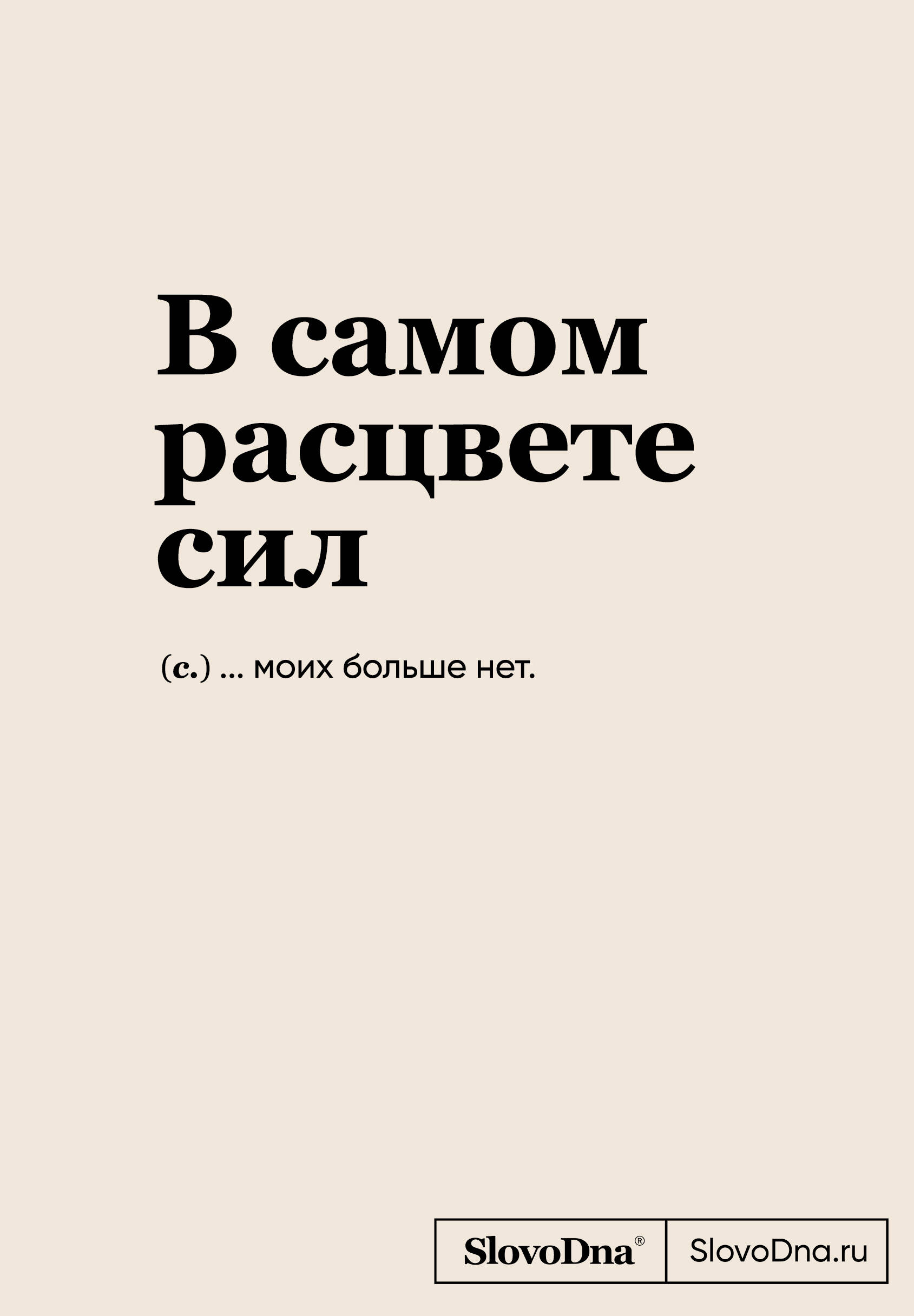  книга Блокнот SlovoDna. В самом расцвете сил (формат А5, 128 стр., С НОВЫМ КОНТЕНТОМ)