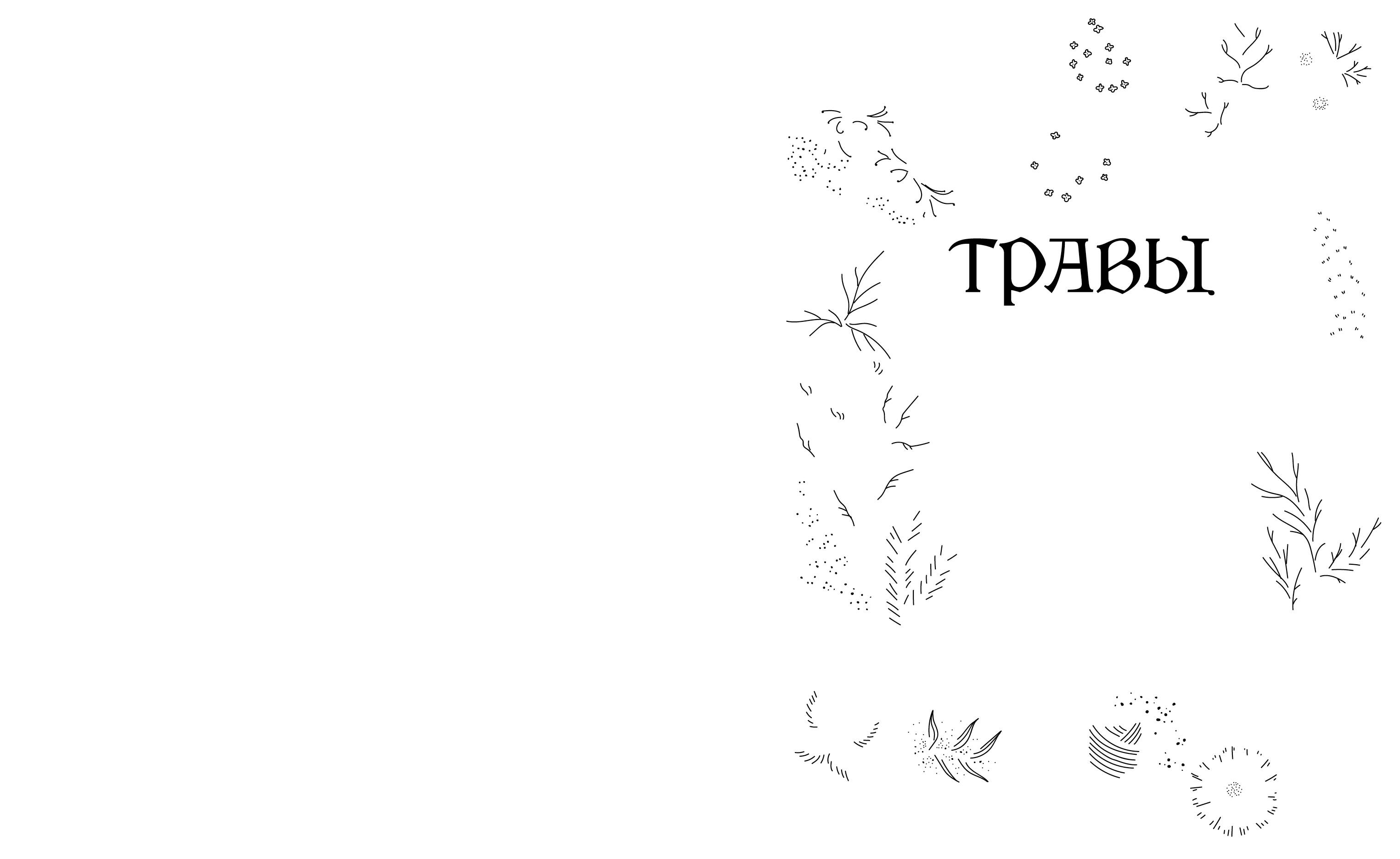 Травы. Магические запасы. Иллюстрированное руководство по сбору и заготовке волшебных растений, их полезным свойствам и сезонным ритуалам