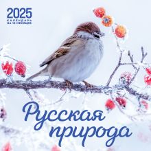 Русская природа. Календарь настенный на 16 месяцев на 2025 год (300х300 мм)