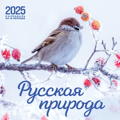 Обложка Русская природа. Календарь настенный на 16 месяцев на 2025 год (300х300 мм) 
