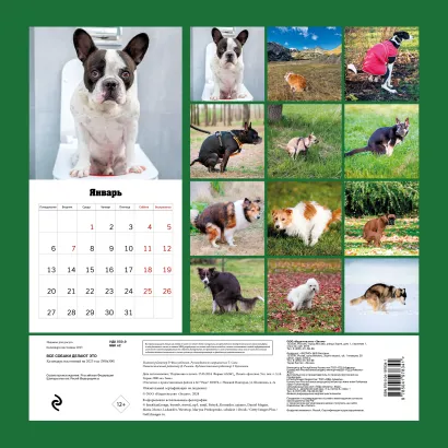 Обложка Все собаки делают это. Календарь настенный на 2025 год (300х300) 