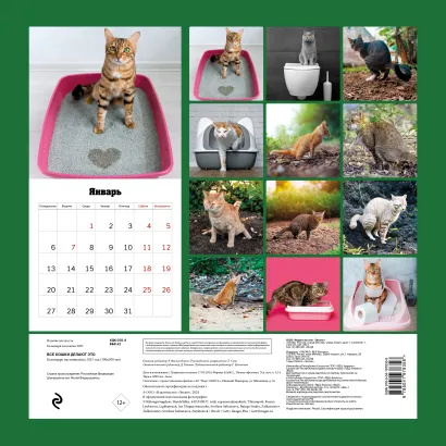 Обложка Все кошки делают это. Календарь настенный на 2025 год (300х300 мм) 