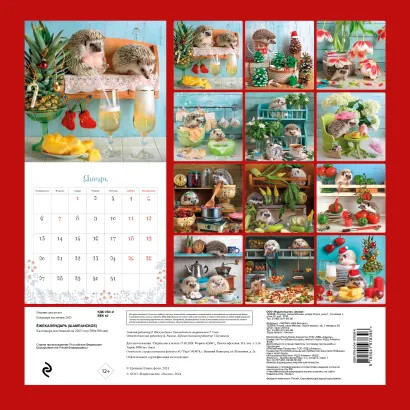 Обложка Ёжекалендарь (шампанское). Календарь настенный на 2025 год (300х300 мм) 