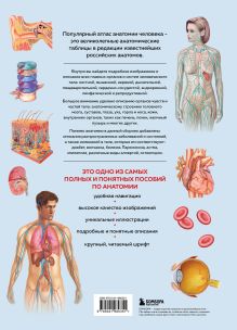 Обложка сзади Анатомия человека. Популярный атлас. Самые подробные анатомические изображения 