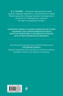 Обложка сзади Трудовое право в схемах и определениях. 2-е издание. Исправленное и дополненное В. А. Шавин