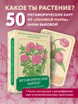 Метафорический портрет. Какое ты растение. Метафорические ассоциативные карты Анны Быковой