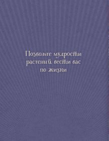 Обложка сзади Магический гербарий. 36 карт с посланиями от волшебных растений (Оракул. 36 карт и руководство в коробке) Майя Толл