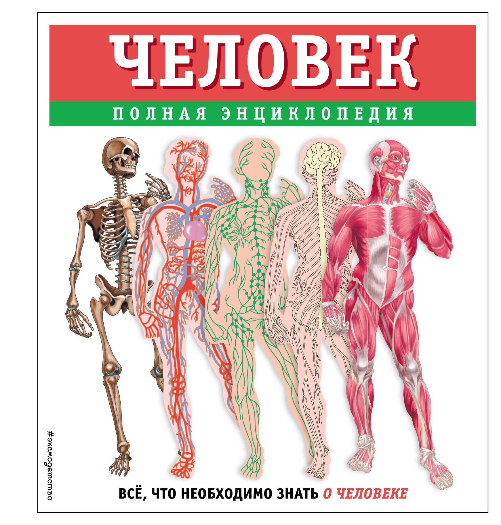  книга Человек. Полная энциклопедия