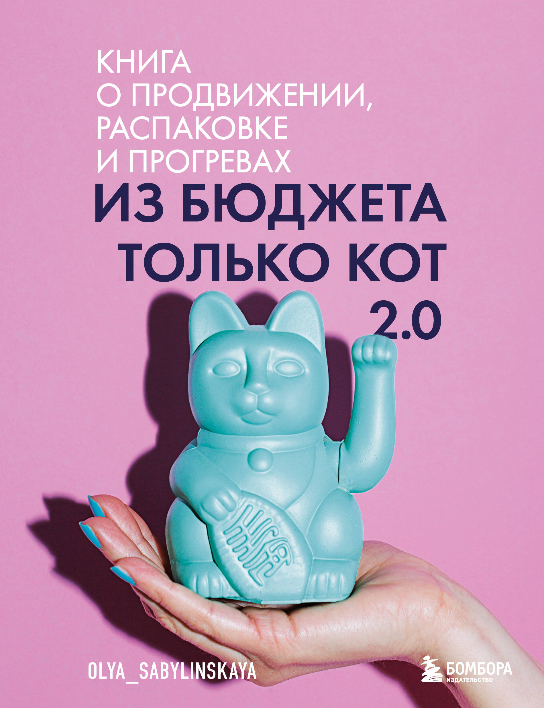  книга Из бюджета только кот 2.0