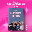 Блокнот Stray Kids (формат А5, мягкая обложка с фото)