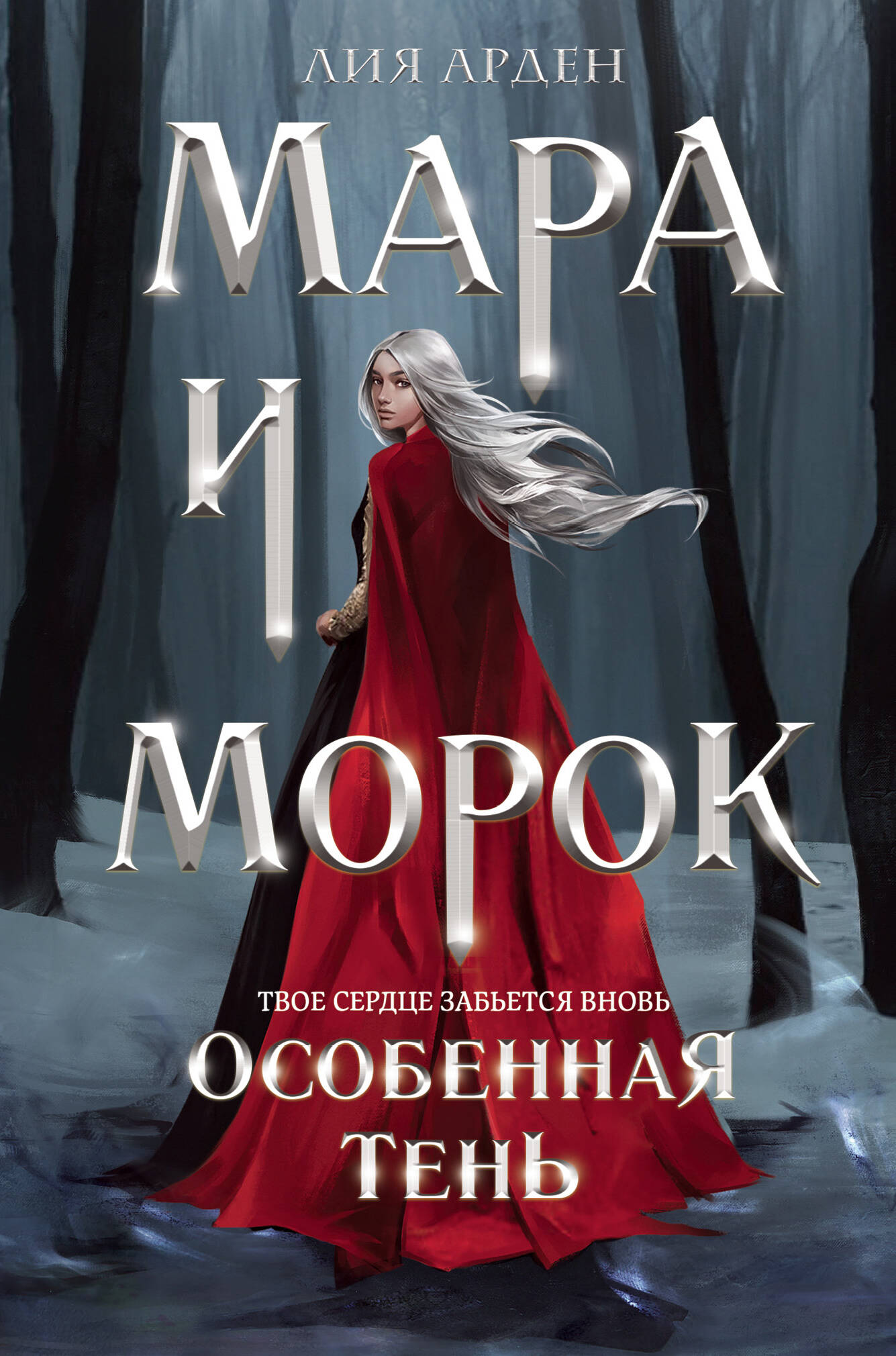  книга Мара и Морок. Особенная Тень (формат клатчбук)