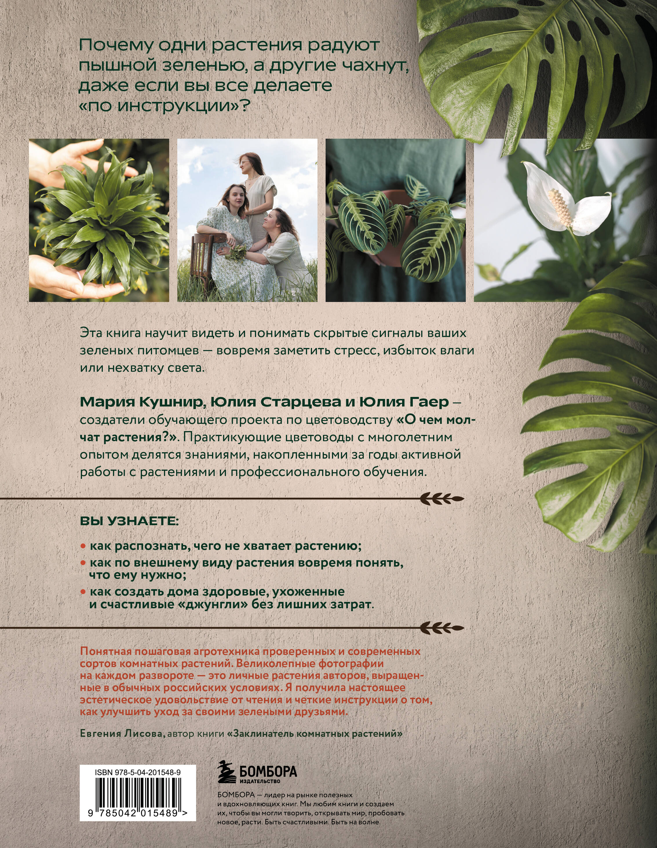 Секреты комнатных джунглей. О чем молчат растения и как понять, что им нужно на самом деле