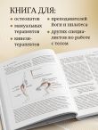 Функциональная анатомия движения. Руководство по анализу биомеханики и работе с миофасциальными меридианами