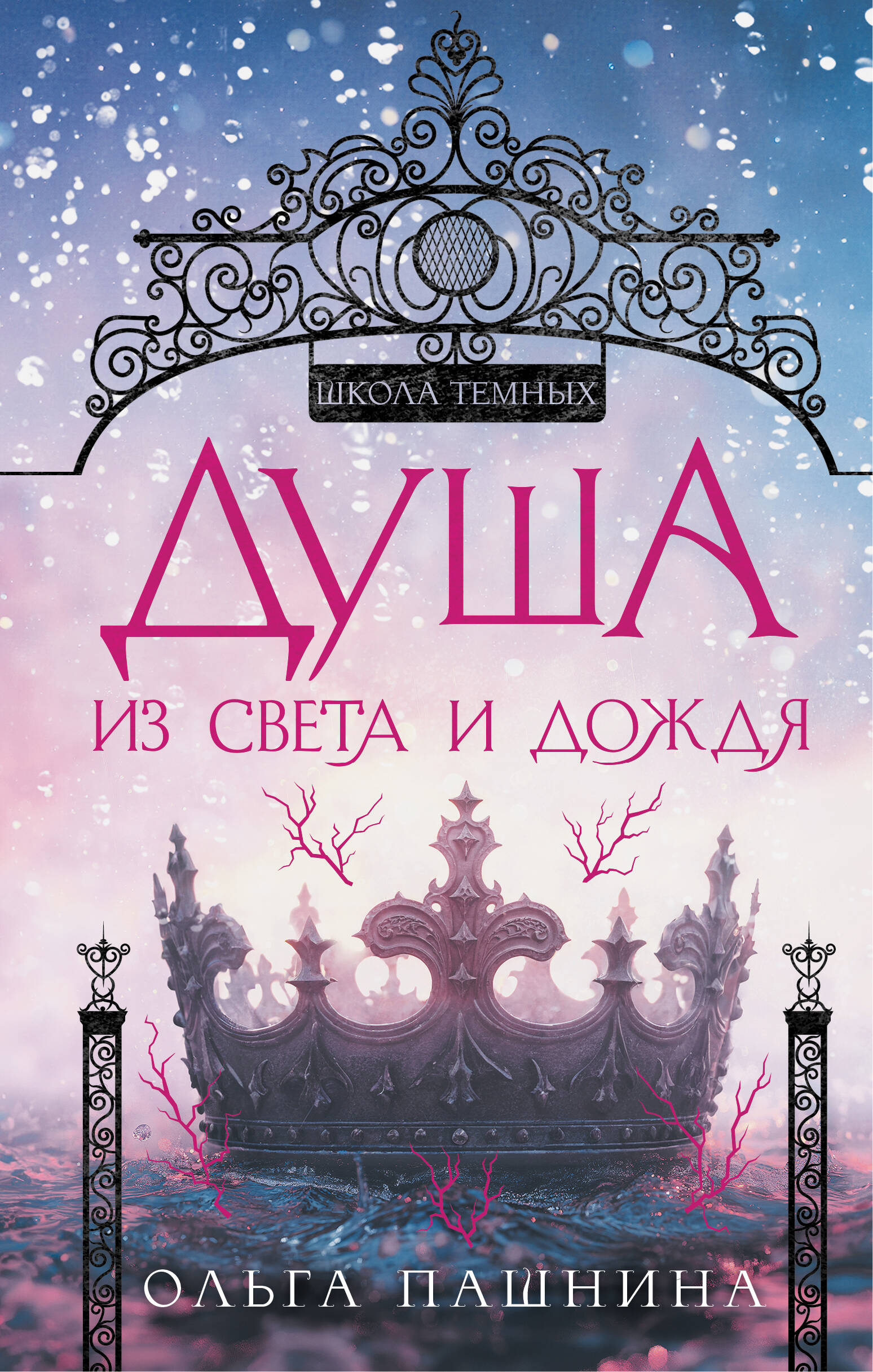  книга Душа из света и дождя