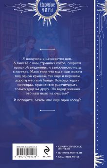 Обложка сзади Дом и два жениха в придачу Катя Водянова