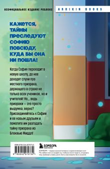 Обложка сзади Детектив из Роблокс. Призрак города Блоквью Миддл. Книга 1 Аррикин Букс