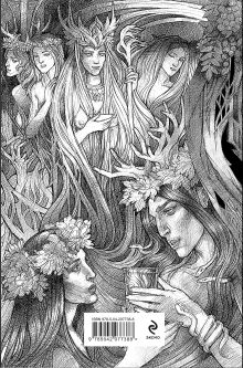 Обложка сзади Туманы Авалона. Два тома. Комплект (Туманы Авалона. Том 1+Туманы Авалона. Том 2+Короб) Мэрион Зиммер Брэдли