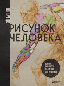 Рисунок человека. Большое руководство по анатомии для художников