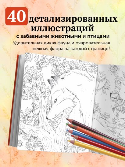 В объятиях природы. Раскрашиваем обаятельные иллюстрации животных и птиц