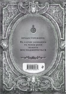 Обложка сзади Алхимия для начинающих и опытных (старинное серебро) 