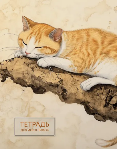 Обложка Тетрадь для иероглифов (рыжий котик) 
