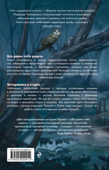 Обложка сзади Что скрывается в ночи Надежда Чубарова