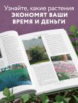 Секреты малоуходного сада. Как создать дизайн участка с неприхотливыми декоративными растениями