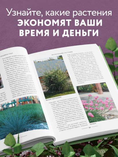 Секреты малоуходного сада. Как создать дизайн участка с неприхотливыми декоративными растениями