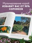 Секреты малоуходного сада. Как создать дизайн участка с неприхотливыми декоративными растениями