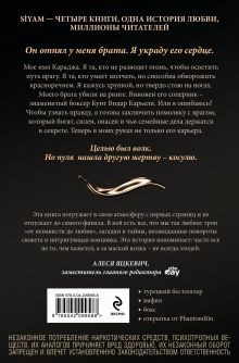 Обложка сзади Зимнее солнце Бейза Аксой