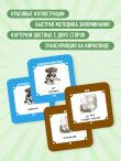 Карточки для запоминания арабских слов. Начальный уровень (набор 365 шт.)