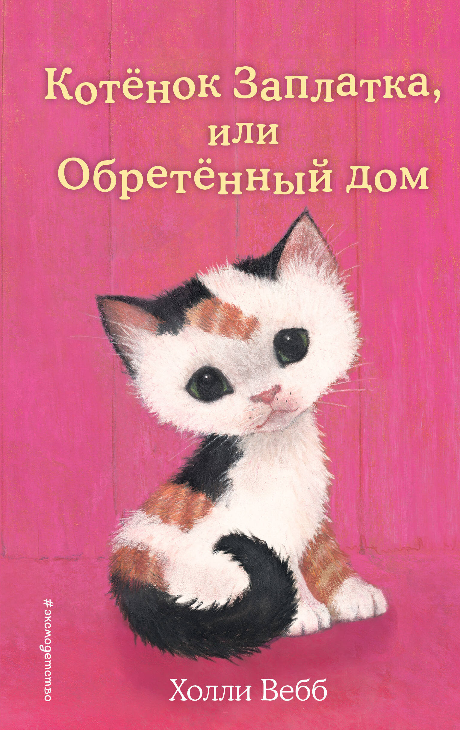 Котенок Заплатка, или Обретенный дом (выпуск 47)