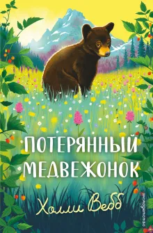 Потерянный медвежонок