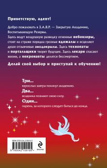 Обложка сзади Небовзор Маргарита Блинова