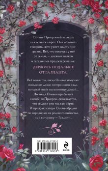 Обложка сзади Галлант В. Э. Шваб