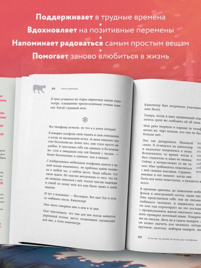 Комплект. Если все кошки в мире исчезнут