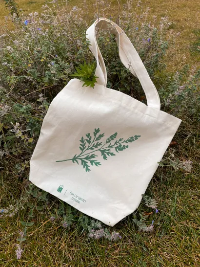 Обложка Сумка 