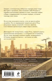 Обложка сзади Город хищных птиц Кира Брайан