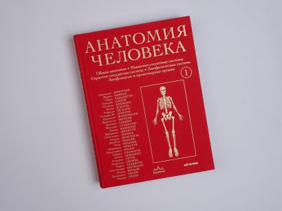 Анатомия человека. Эксклюзивное издание с 50-летней историей. Том 1