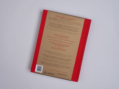 Анатомия человека. Эксклюзивное издание с 50-летней историей. Том 1