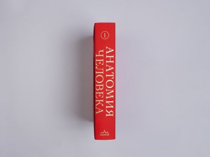Анатомия человека. Эксклюзивное издание с 50-летней историей. Костно-мышечная и сердечно-сосудистая системы (Том 1)