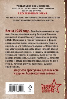 Обложка сзади Лето горячих дел Валерий Шарапов