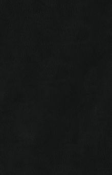 Обложка сзади Франкенштейн (предисловие Стивена Кинга, илл. Берни Райтсона) Мэри Уолстонкрафт Шелли, Стивен Кинг, Берни Райтсон
