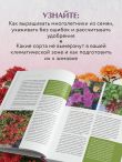 Цветущий сад из многолетников. Как создать цветники, которые будут радовать год за годом