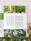 Цветущий сад из многолетников. Как создать цветники, которые будут радовать год за годом