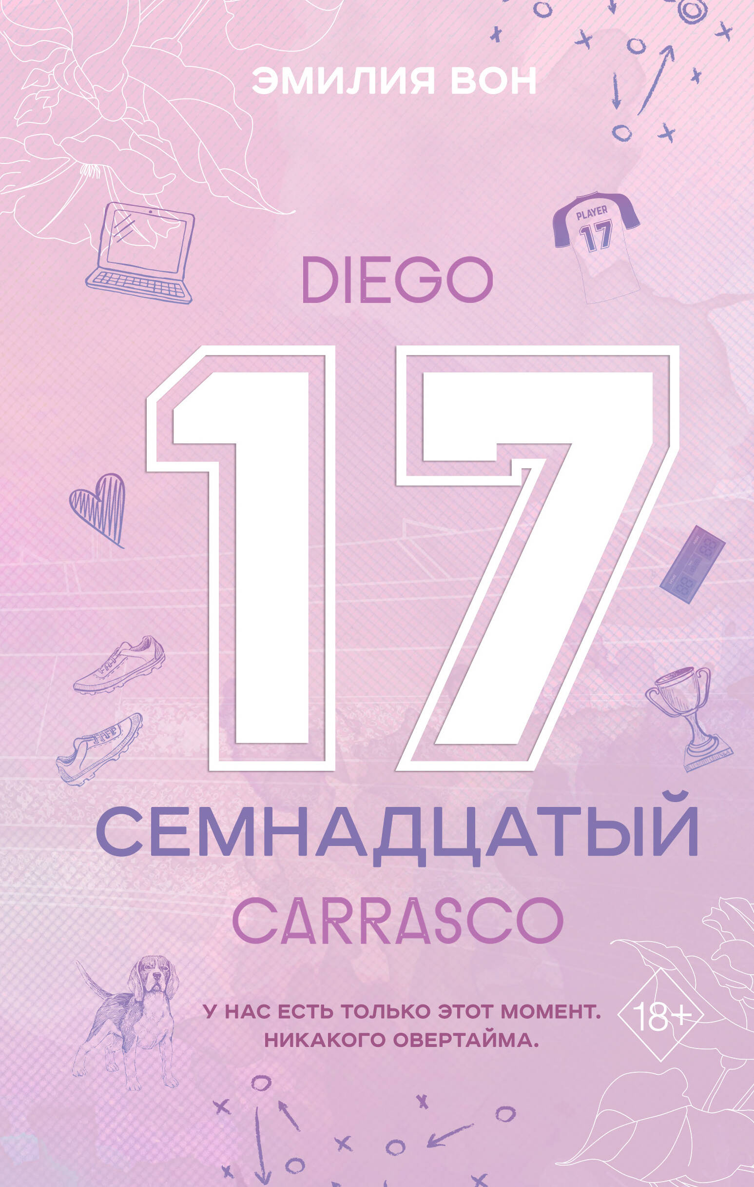  книга Семнадцатый