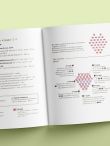 Японские украшения из бисера. Практическое руководство по плетению трендовых аксессуаров из бисера